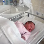 Croisement des courbes natalité et mortalité : enjeux et solutions pour le défi démographique