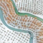 En 25 ans, la Chine a replanté 25 % des nouveaux arbres dans le monde