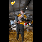 Elles se forment à la capture des brebis pour améliorer leur élevage