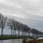 Météo en Belgique : pluie vendredi, week-end sec prévu - RTBF Actus