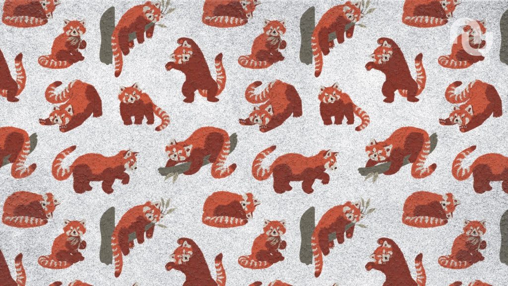 Un navigateur déploie une solution inédite face à ceux qui refusent l'IA