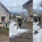 200 chèvres sauvées des flammes lors de l'incendie d'une ferme, témoignage poignant