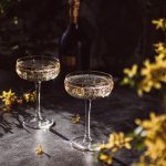 Verres de bar : comment choisir ceux qui mettent en valeur vos cocktails ?