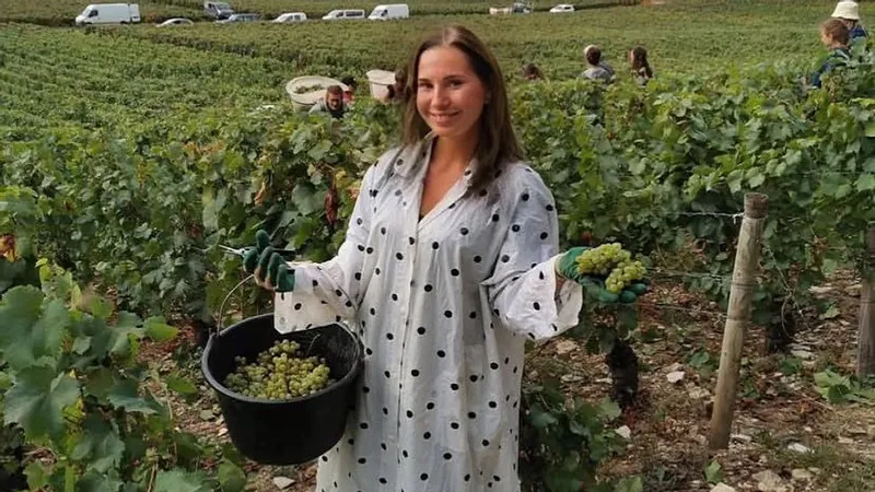 A son arrivée en France, Viktoriia Kobeliatska a commencé à faire les vendanges en Bourgogne.