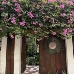 Saïgon : découvrez les délices champêtres du restaurant Cuc Gach Quan