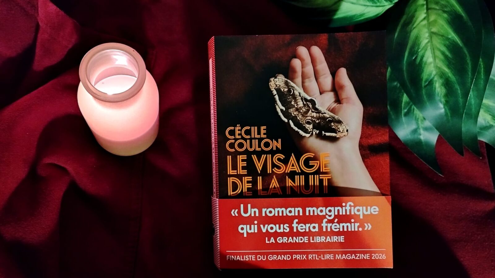 « Le visage de la nuit » : le dernier conte noir de Cécile Coulon à découvrir - Mag'Centre