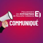 Trois dispositions concernant l'emploi portées par le MEDEF-NC adoptées par le Congrès