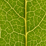 Procédés de traitement des eaux avant leur utilisation : enjeux et méthodes