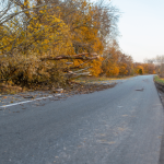 Tempête Nils : plus de 70 interventions sur les routes de Côte-d’Or
