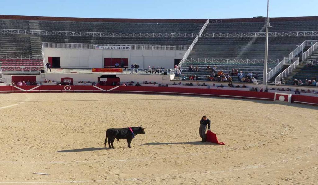 BETARRA en redressement judiciaire : l'échec d'un système dépendant de l'aide municipale