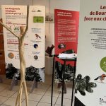 Joncy : Exposition immersive sur la forêt avec animations pour tous les âges