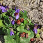 En images : vos plus belles photos du jour de février