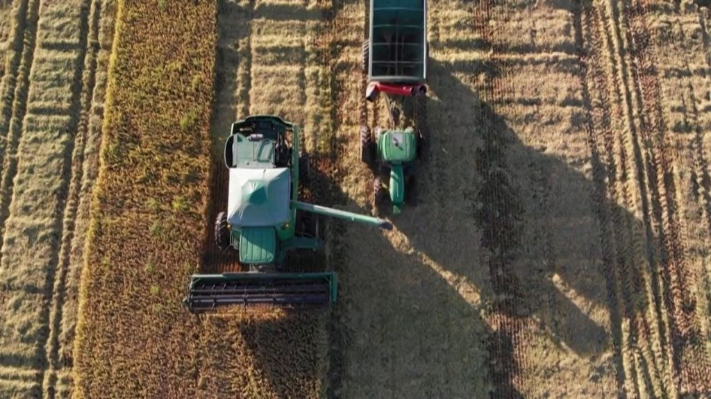 Mercosur : Les pesticides brésiliens menacent-ils la sécurité alimentaire en Europe ?