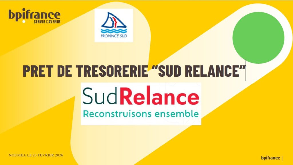 Dispositif Sud Relance de la Province sud