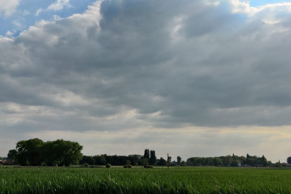 Météo des Hauts-de-France pour le mardi 24 février : des améliorations attendues.