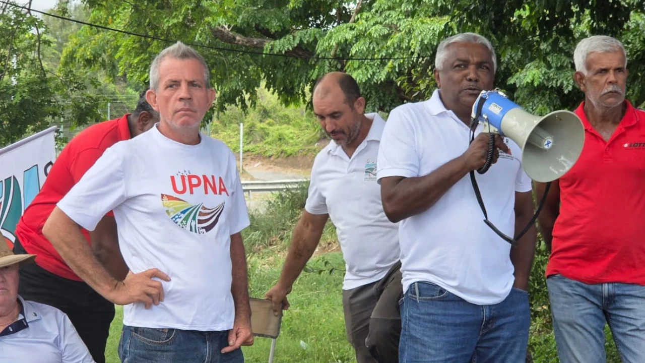 Les planteurs devant le siège de Téréos pour des retards de paiement.