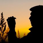 Bazas : un documentaire explore l'ortolan et les techniques de chasse aux engins