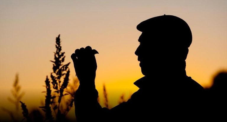 Bazas : un documentaire explore l'ortolan et les techniques de chasse aux engins