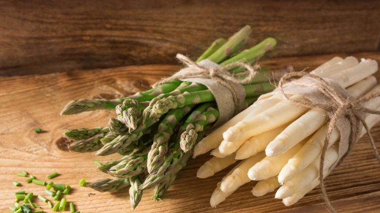 Planter l'asperge : guide pratique pour cultiver ce légume printanier dans votre potager
