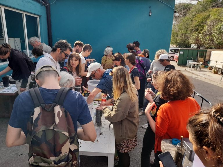 Atelier de boutures de la vigne