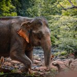 Quiz : Identifiez le pays mystère grâce à des indices révélateurs