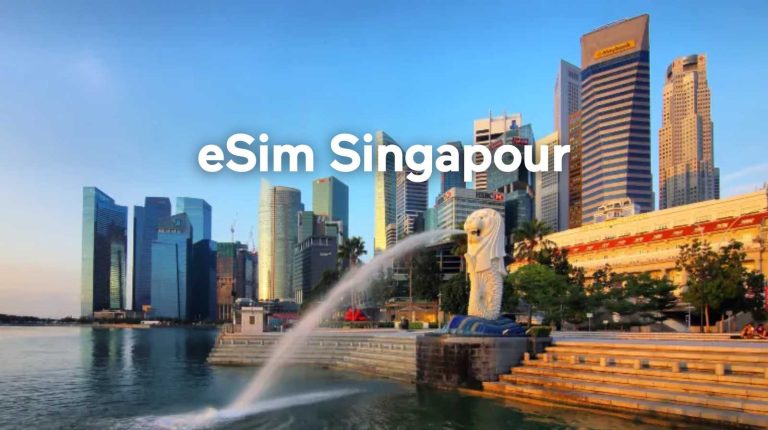 Location voiture, eSIM et services voyage à Singapour