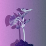 « Le débat sur les pesticides doit impliquer les citoyens, les médias et la vie quotidienne »