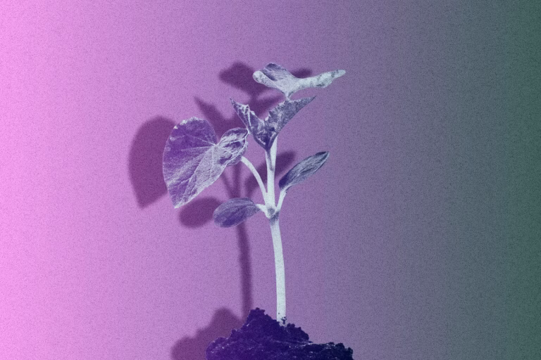 Le débat sur les pesticides : un enjeu citoyen, médiatique et quotidien à ne pas négliger