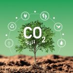 Décret BACS : Comment les entreprises peuvent réduire leur empreinte carbone efficacement