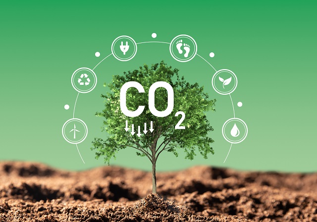 Décret BACS : Comment les entreprises peuvent réduire leur empreinte carbone efficacement