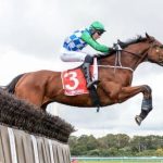 Quinté à Auteuil du samedi 28 mars : les pronostics hippiques d'Hervé Fortin - ICI