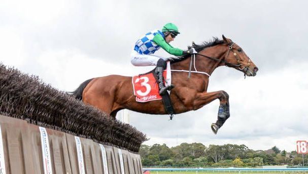 Quinté à Auteuil du samedi 28 mars : les pronostics hippiques d'Hervé Fortin - ICI