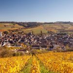 La dégustation : le petit bonheur de Christopher à Chablis - ICI