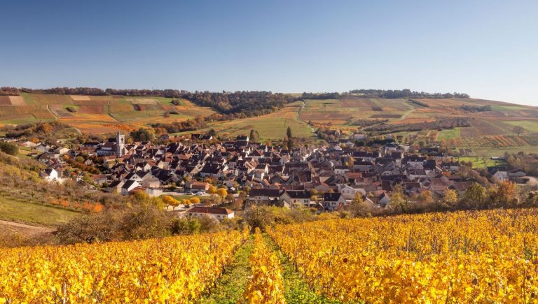 La dégustation : le petit bonheur de Christopher à Chablis - ICI