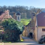 Chariez (70) : Portrait d'une commune rurale au XVIIème siècle - ICI