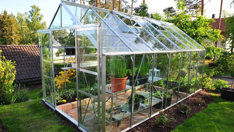 Sous tunnel, sous châssis, sous abri, on s'activé au jardin en mars ! - ICI