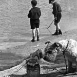 Les pêcheurs sont ils contrôlés ? - ICI