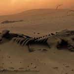 La guerre des os de Benjamin Hoffmann : un récit captivant à découvrir ici