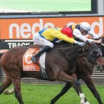 Quinté à Saint-Cloud du jeudi 5 mars : les pronostics hippiques d'Hervé Fortin - ICI