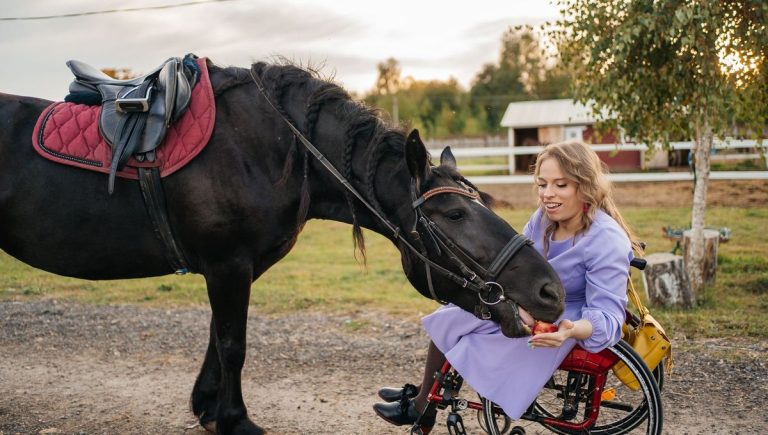 Les bienfaits de l'équithérapie avec Juliette Lecoq - ICI