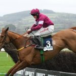 Quinté à Auteuil du samedi 14 mars : les pronostics hippiques d'Hervé Fortin - ICI