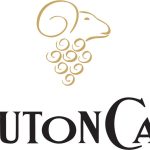 Mouton Cadet : la valorisation du vignoble girondin et le commerce équitable au cœur du succès d’une marque centenaire - ICI