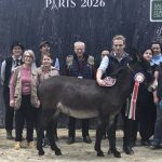 « Mimi la petite fusée » remporte le Trophée National de l'Âne 2026 - ICI