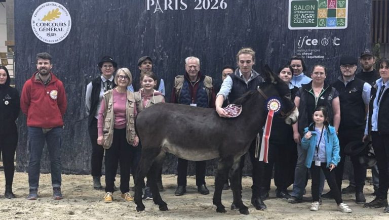 « Mimi la petite fusée » remporte le Trophée National de l'Âne 2026 - ICI