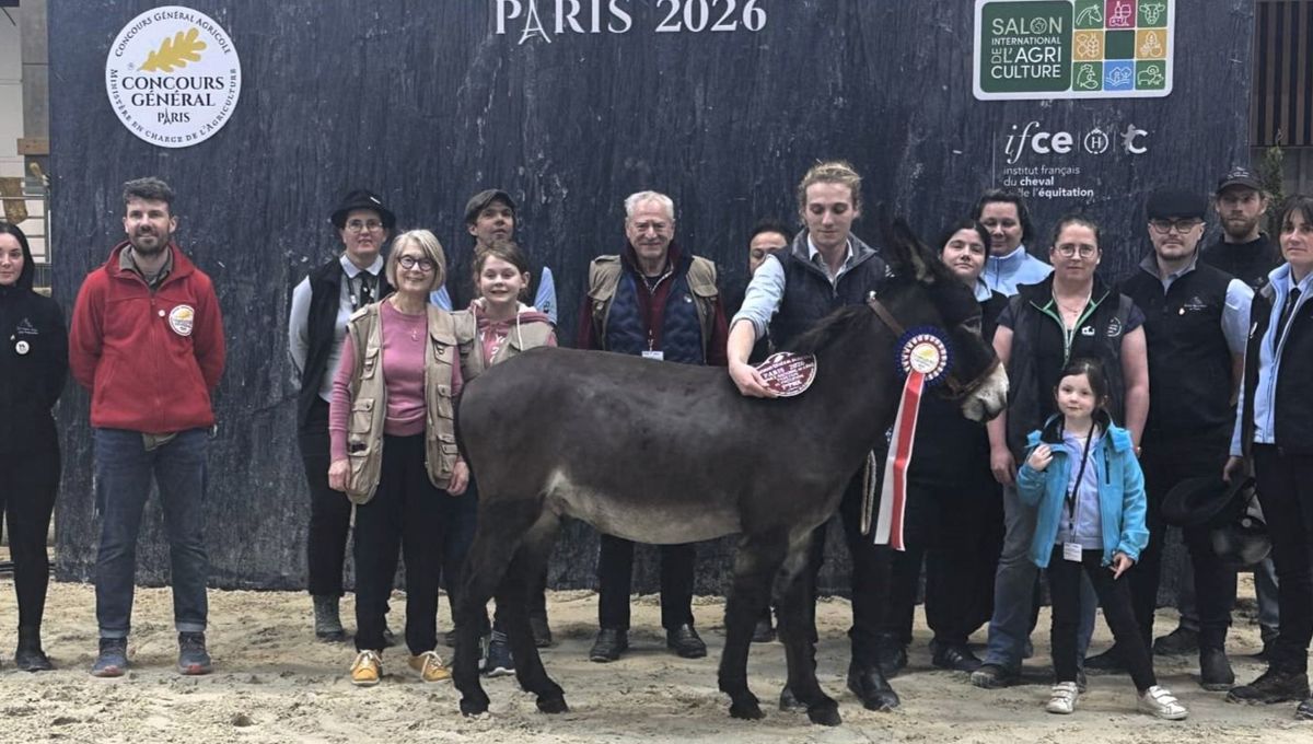 « Mimi la petite fusée » décroche le Trophée National de l'Âne 2026 - ICI