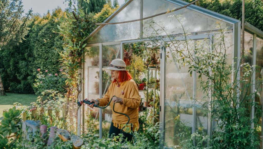 Serre de jardin : atout pour cultiver plus tôt, défi pour maîtriser la chaleur - ICI