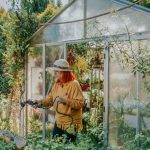 Serre de jardin : atout pour cultiver plus tôt, défi pour maîtriser la chaleur - ICI