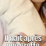 Bébé né d'une greffe d'utérus post mortem au Royaume-Uni après 7 heures d'opération