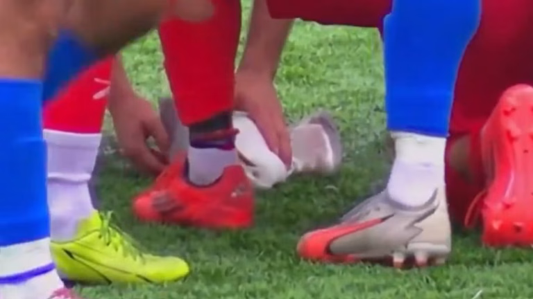 En Turquie, un joueur essaie de sauver une mouette blessée par un ballon de foot