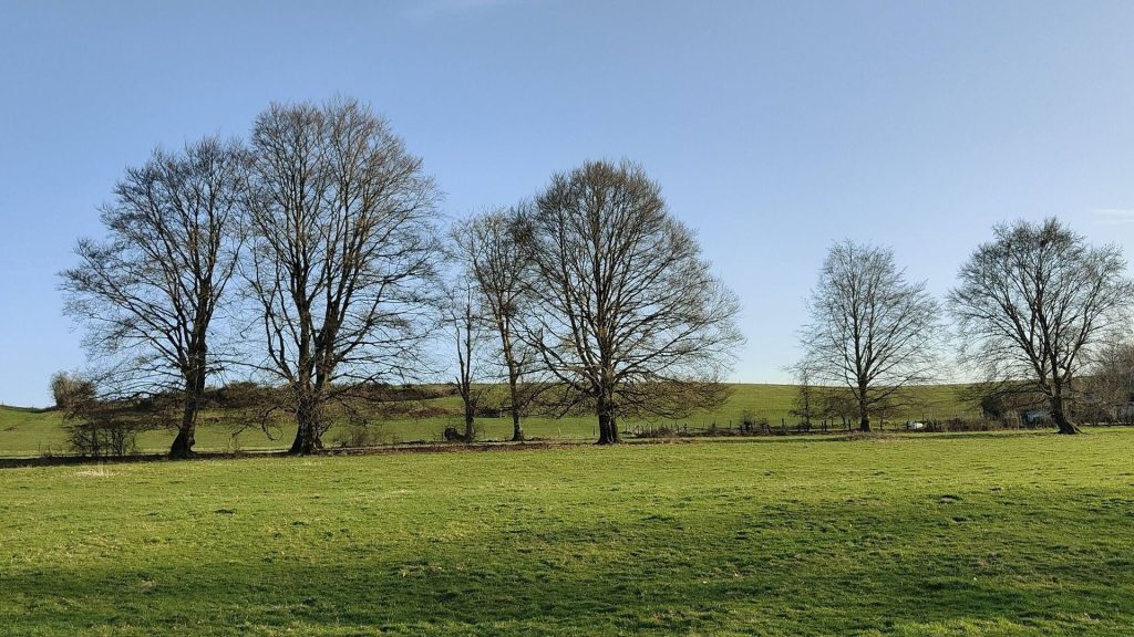 Week-end printanier : ciel voilé mais soleil et douceur au rendez-vous - RTBF Actus